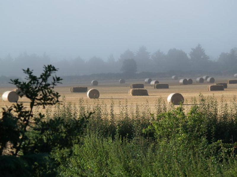 High Park Farm